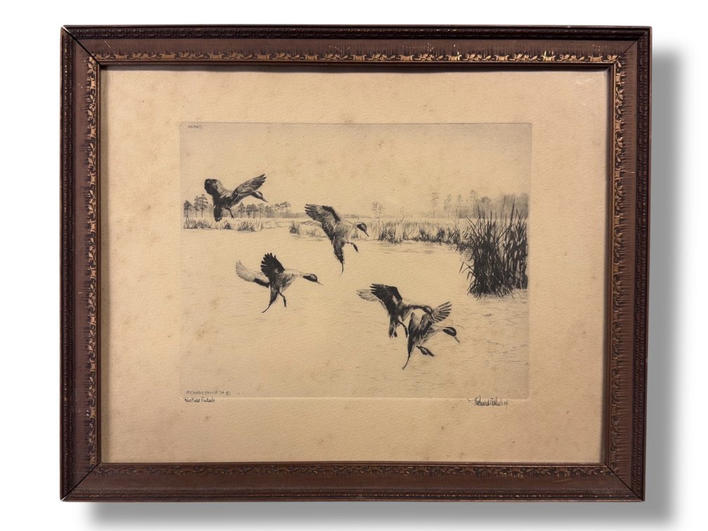 Richard Bishop “Rice Field Pintails” by Richard Bishop ‘34 Reproduction Print 13.25”L x 16.5”W