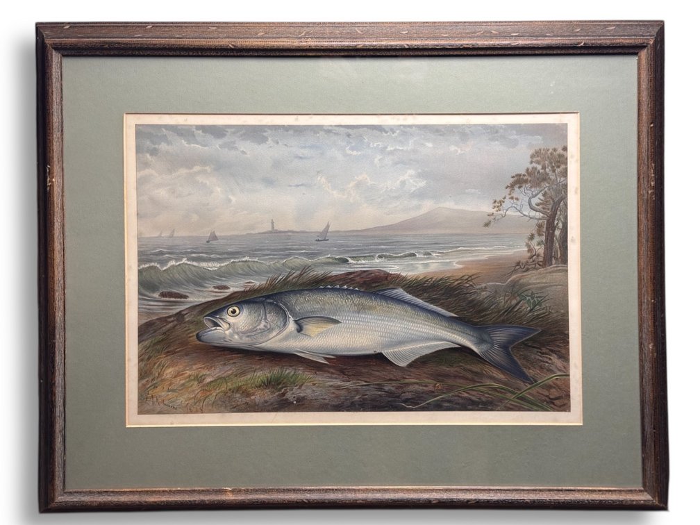 Samuel A. Kilbourne (1836-1881) Game Fish Chromolithograph 25”L x 30.25”W