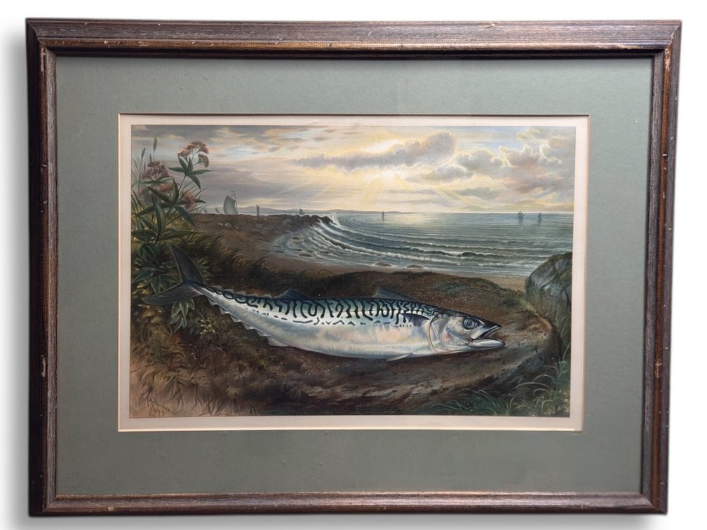 Samuel A. Kilbourne (1836-1881) “Mackerel Fish” Chromolithograph 25”L x 30.25”W