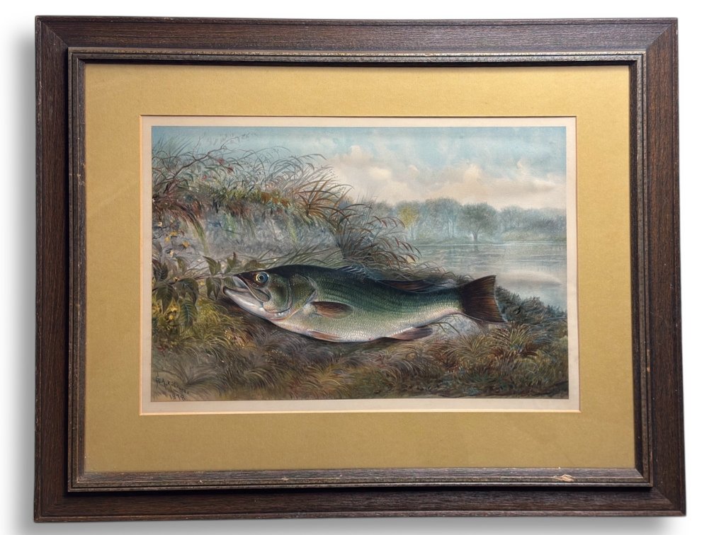 Samuel A. Kilbourne (1836-1881) “Largemouth Bass” Game Fish Chromolithograph 25”L x 30.25”W
