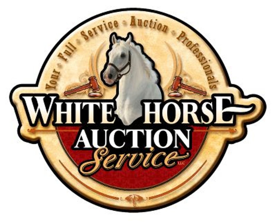 Click Here and Read The Terms & Shipping Before Bidding