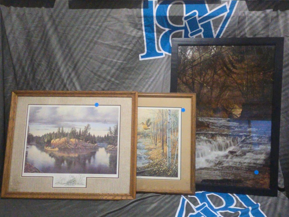 3 Wildlife/Landscape Pictures