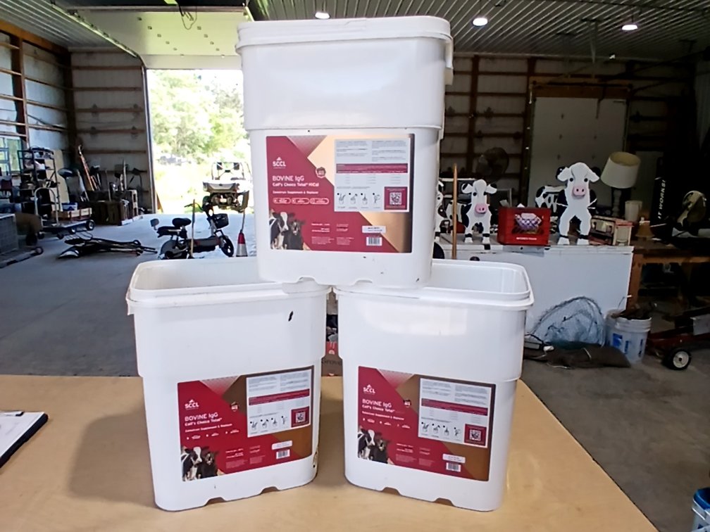 3 Large Buckets, 1 with Lid
