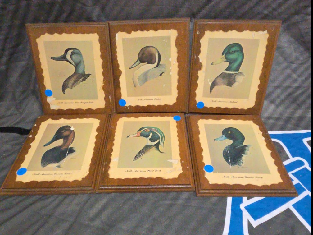 North American Duck Plaques