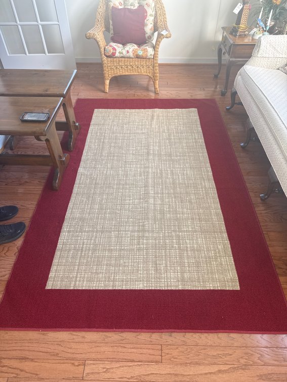 Rectangular Area Rug with Red Border, 95 x 61 in