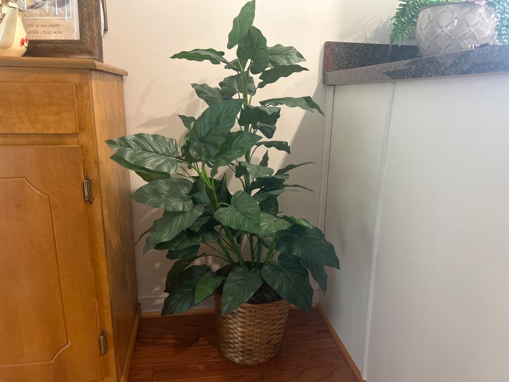 Artificial Broadleaf Floor Plant in Woven Basket