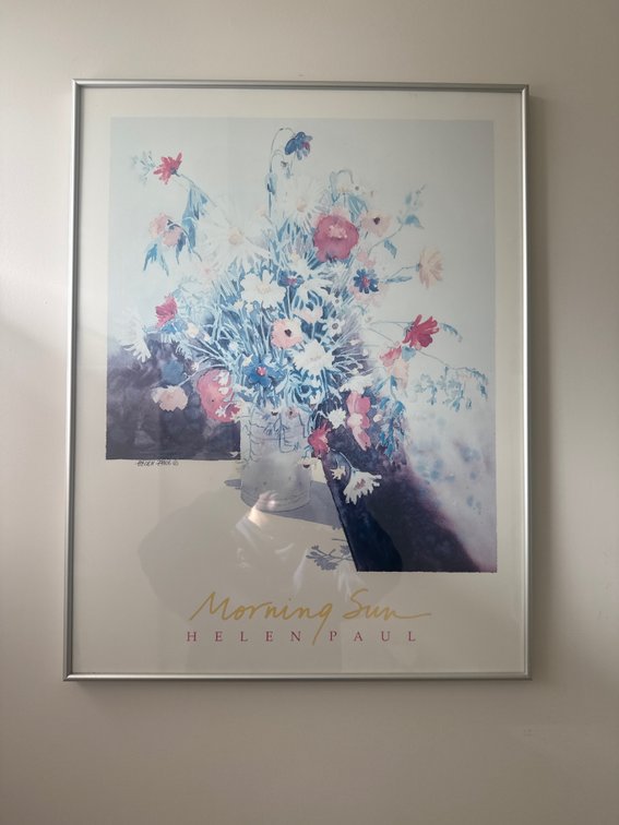 Helen Paul "Morning Sun" Framed Floral Art Print