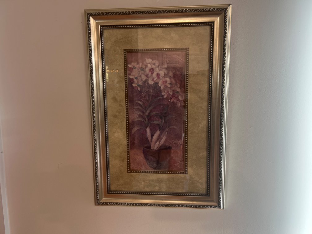 SONOMA life+style Albena Hristova Framed Orchid Print