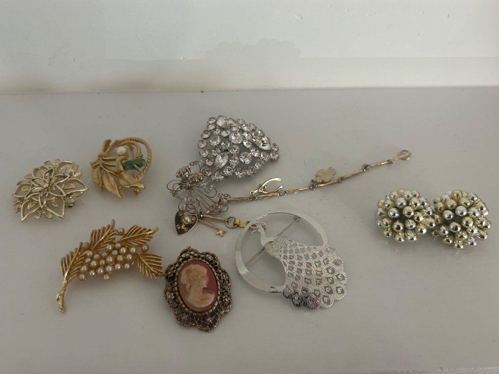 Costume Jewelry Brooches, Charm Pin, and Earrings