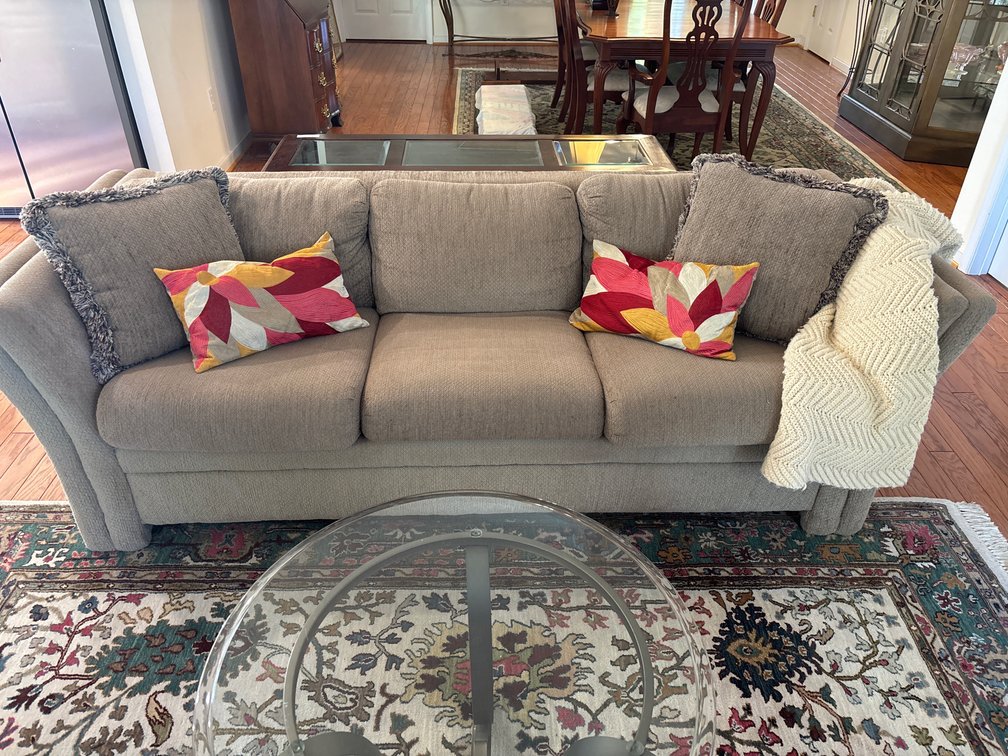 Rowe Upholstered Pull Out Three-Cushion Sofa with Pillows and Throw