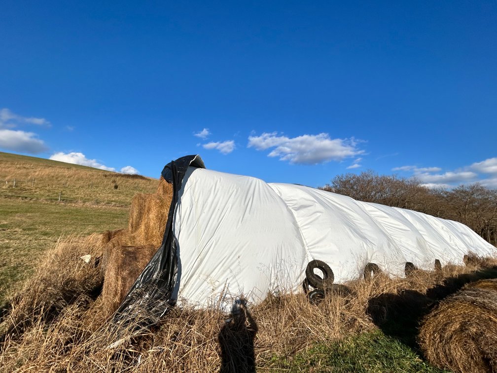 4x5 Round Bales of Hay