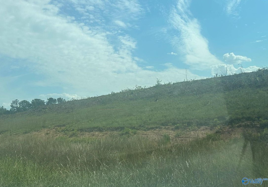 Image for 15 +/- Commercial Acres with highway frontage on both Hwy 411 and Old Hwy 411 in Centre, Alabama
