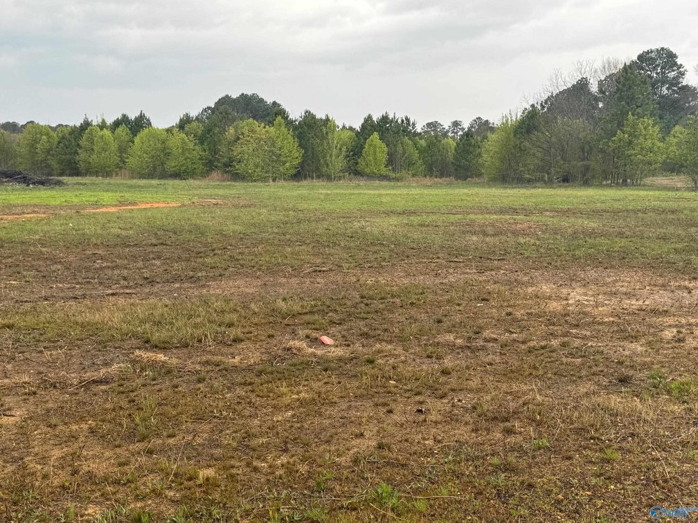 Image for 6705 County Road 22, Centre, AL 35960