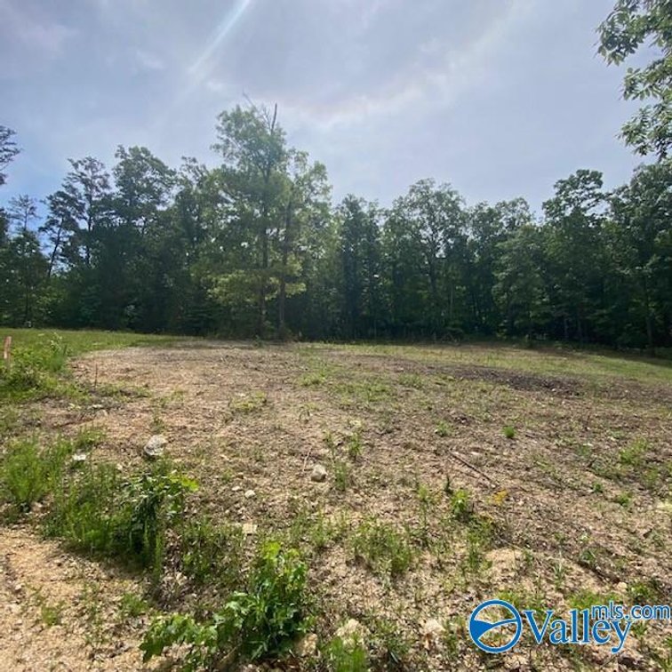 Image for 4070 Highway 273, unit 17, Leesburg, AL 35983