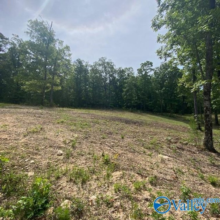 Image for 4070 Highway 273, unit 17, Leesburg, AL 35983