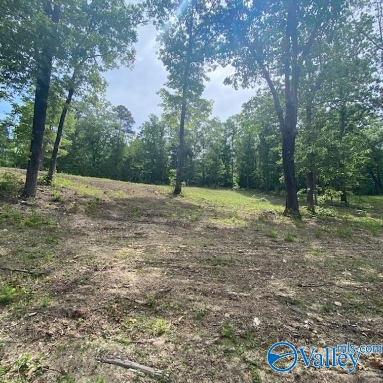 Image for 4070 Highway 273, unit 17, Leesburg, AL 35983