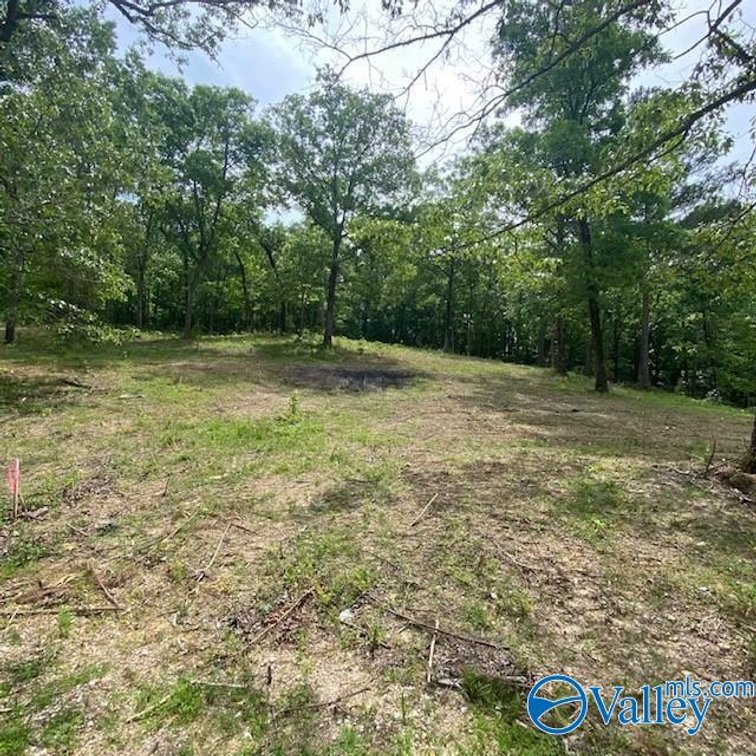 Image for 4070 Highway 273 Unit 16, Leesburg, AL 35983