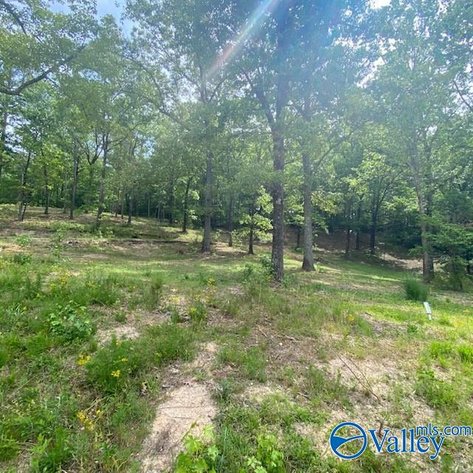 Image for 4070 Highway 273, Unit 14 Leesburg, AL 35983