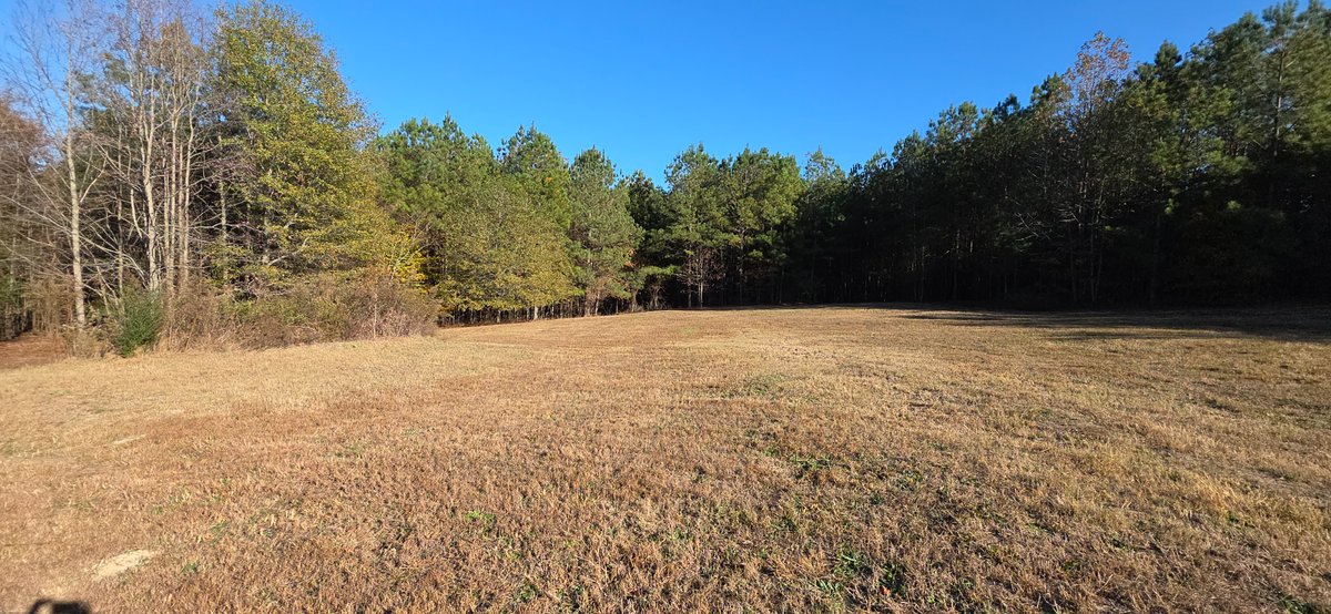 Image for 3250 County Road 59 Piedmont, AL