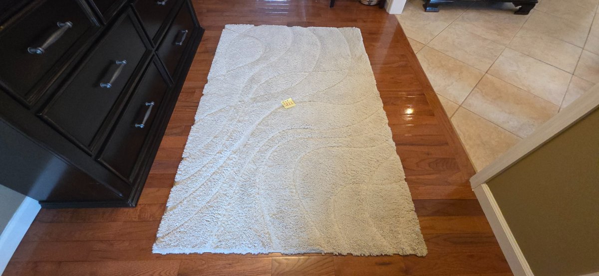SAFAVIEH Florida Shag 4x6 Area Rug
