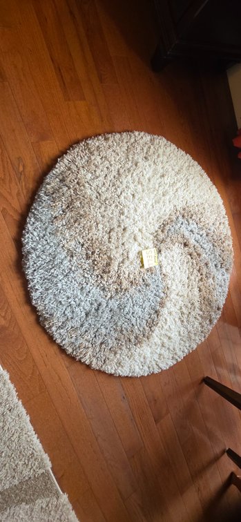 Rugs.com 3' 3" Round Soft Touch Shag