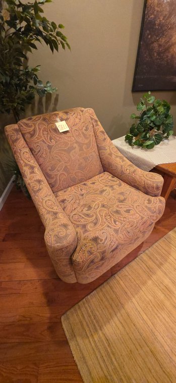 3' x 5' Kaleen Rug & Accent Chair