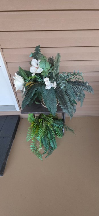 Artificial Ferns, Pots, and Stands