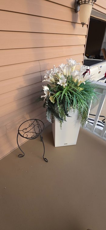 Plant Stands and Plant
