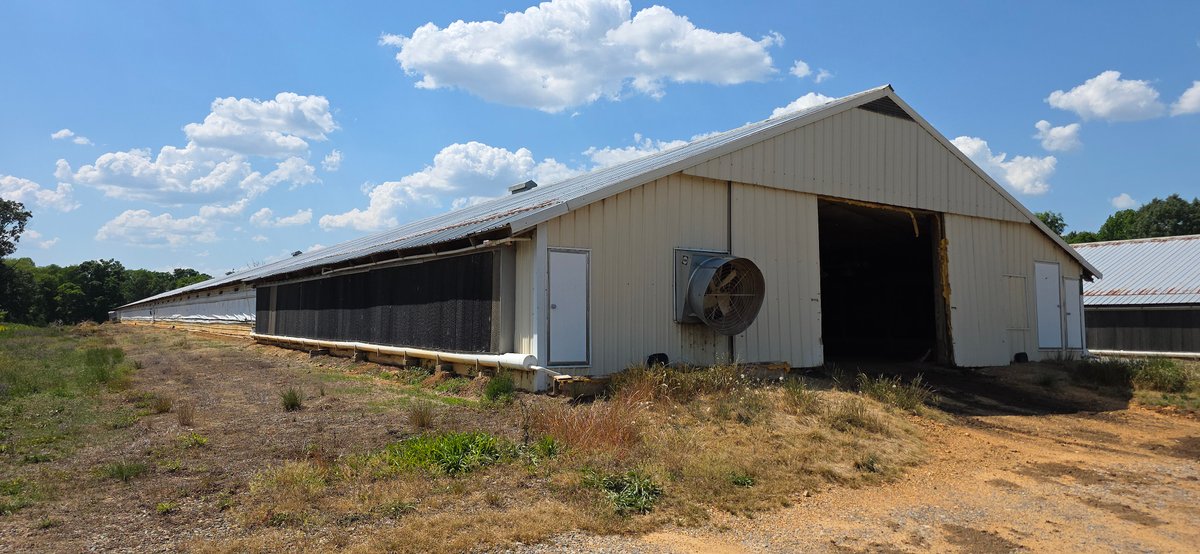 Image for 5 Bedroom, 2 Bath Home on 1.4 +/- AC plus (16) 40' x 500' Chicken Houses to be Disassembled 05.23.26