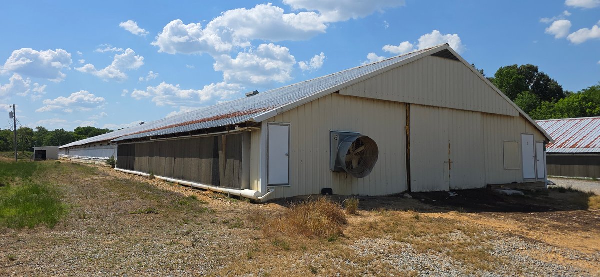 Image for 5 Bedroom, 2 Bath Home on 1.4 +/- AC plus (16) 40' x 500' Chicken Houses to be Disassembled 05.23.26