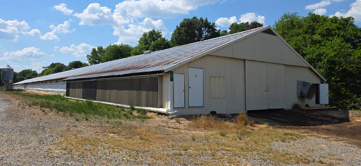 Image for 5 Bedroom, 2 Bath Home on 1.4 +/- AC plus (16) 40' x 500' Chicken Houses to be Disassembled 05.23.26