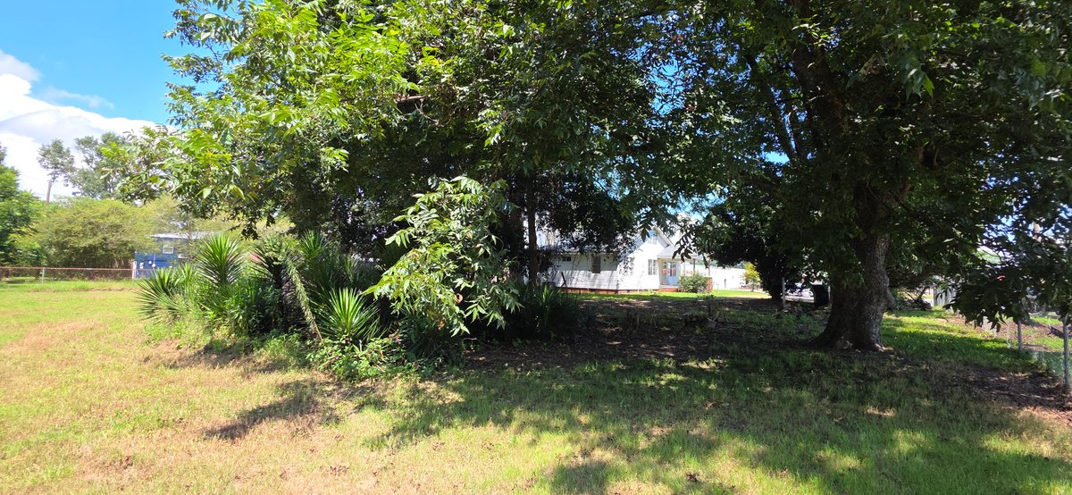 Image for 1021 West Main Street, Centre, Alabama