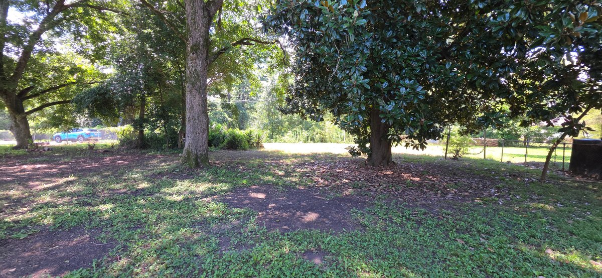 Image for 1021 West Main Street, Centre, Alabama