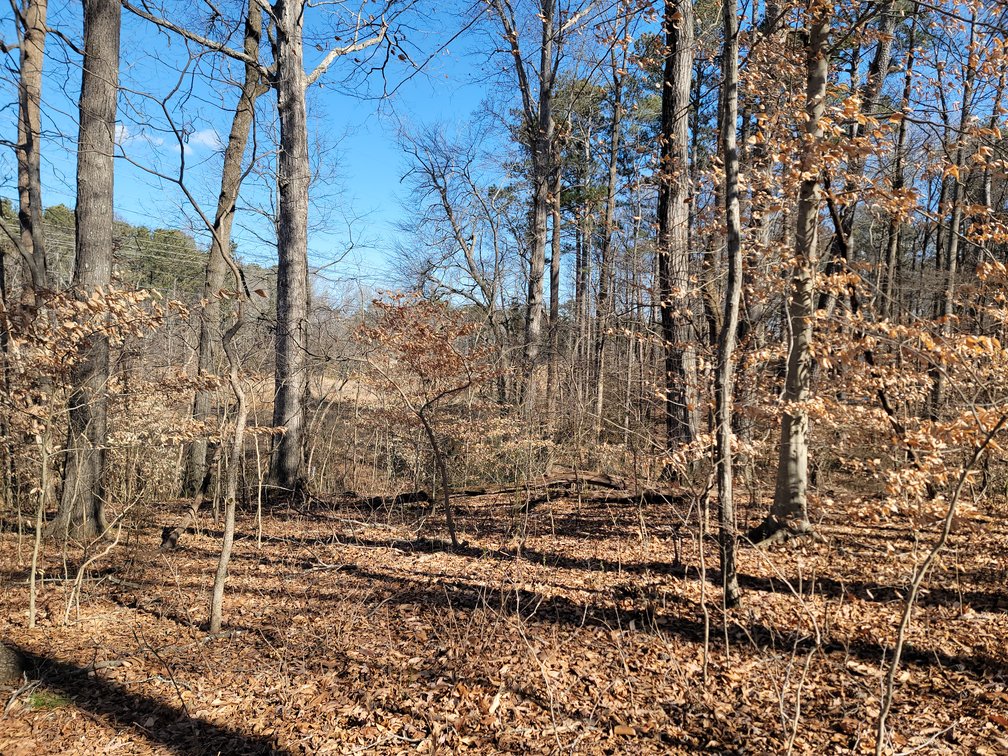 Image for 1855 S Flat Rock Road Douglasville, Georgia 30134