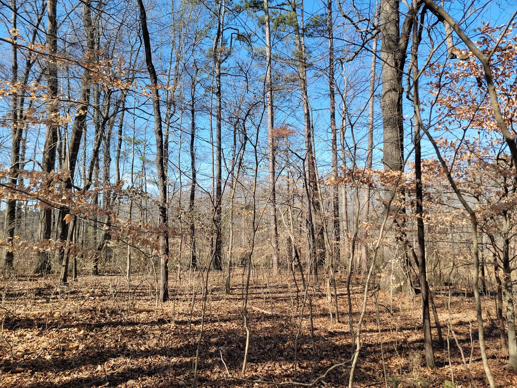 Image for 1855 S Flat Rock Road Douglasville, Georgia 30134