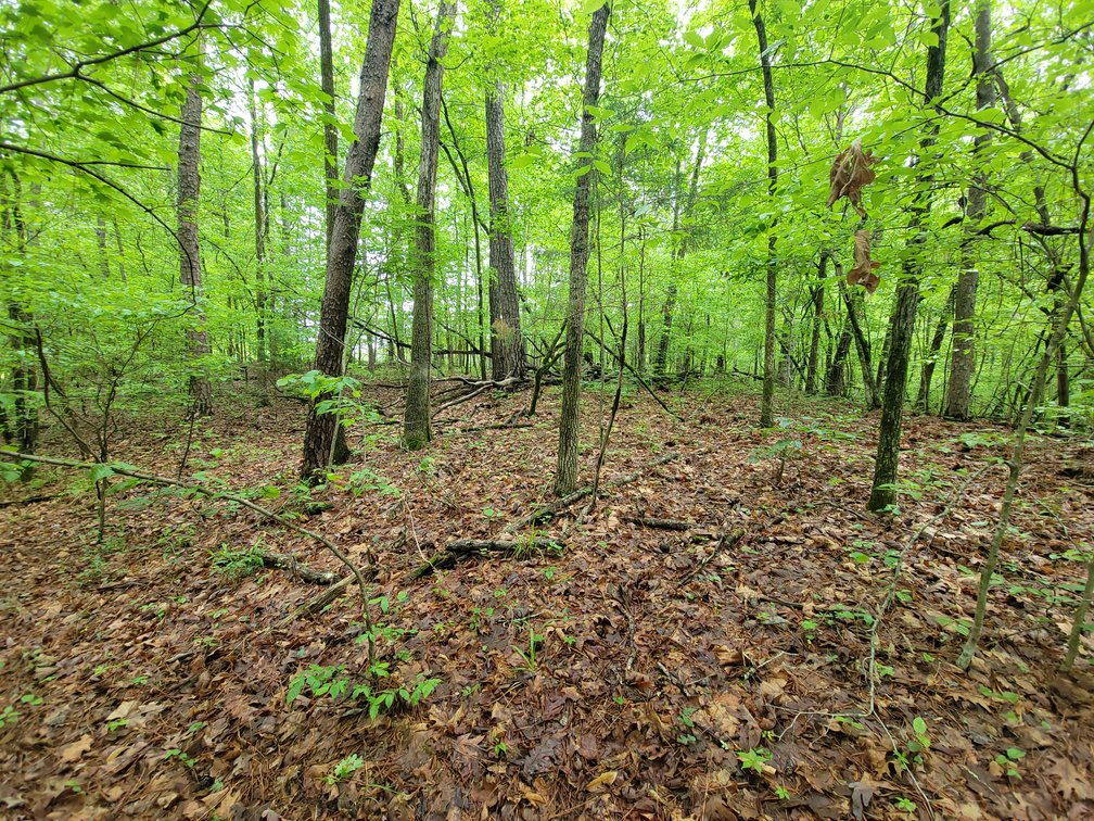 Image for AQUA VISTA DRIVE Gadsden, Alabama