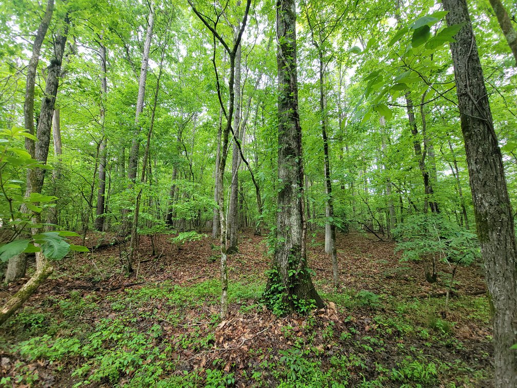 Image for AQUA VISTA DRIVE Gadsden, Alabama