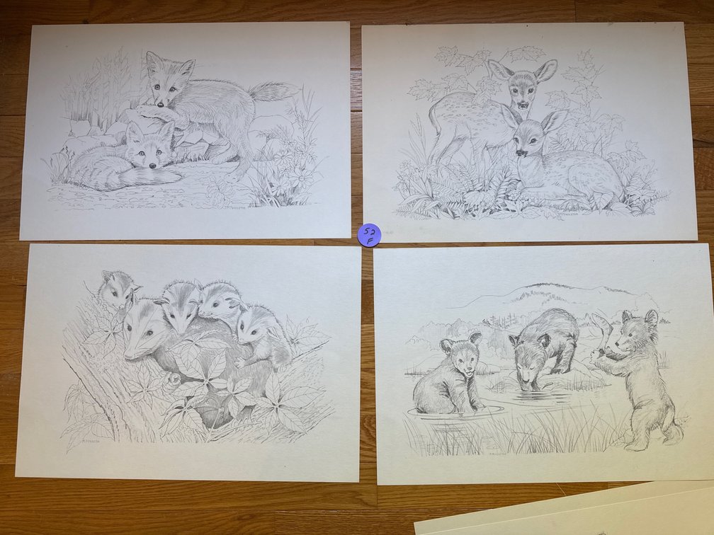 Art - American Wildlife Signed M Pendleton x6