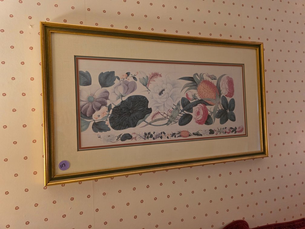 Framed Still life