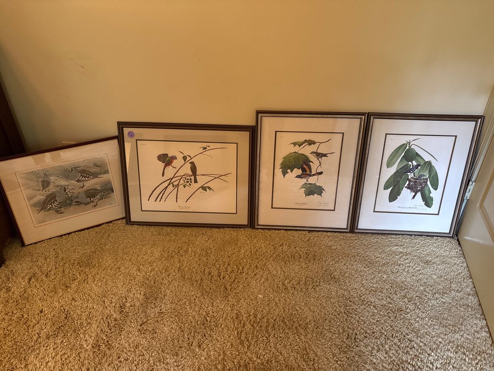 Framed Botanical & Bird Gallery Wall Set