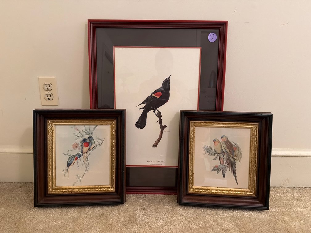 Set of 3 Vintage Framed Bird Art Prints