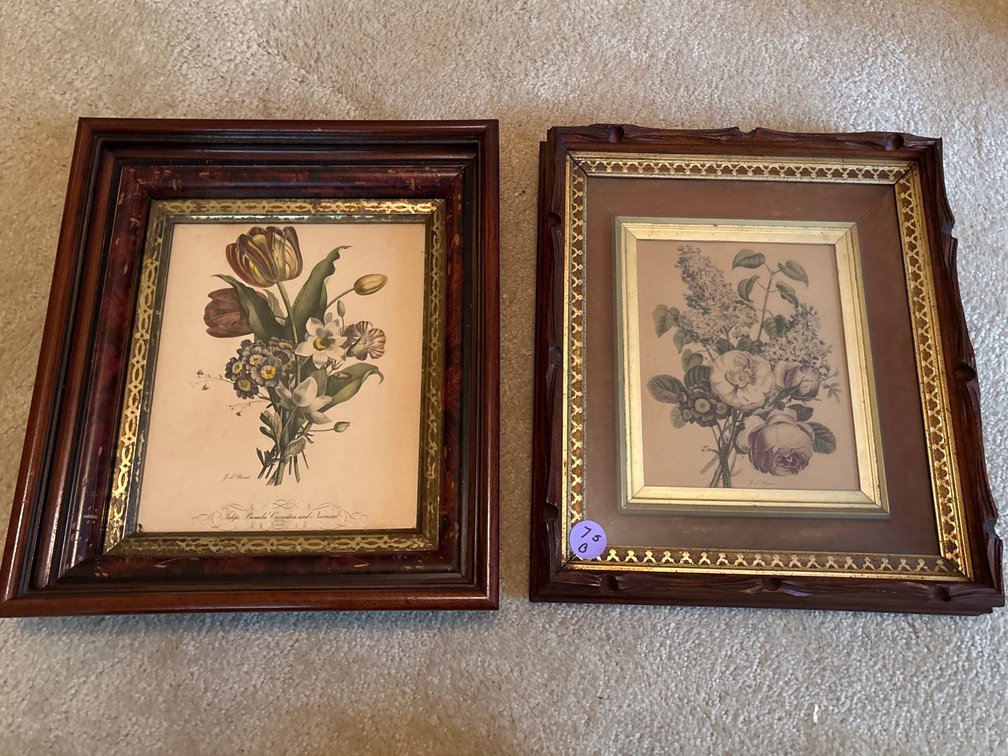 Pair of Framed Botanical Prints