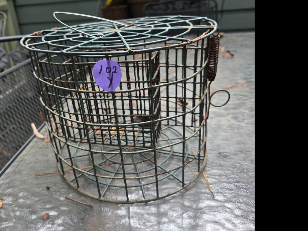 Pole Mountable Caged Suet Feeder,