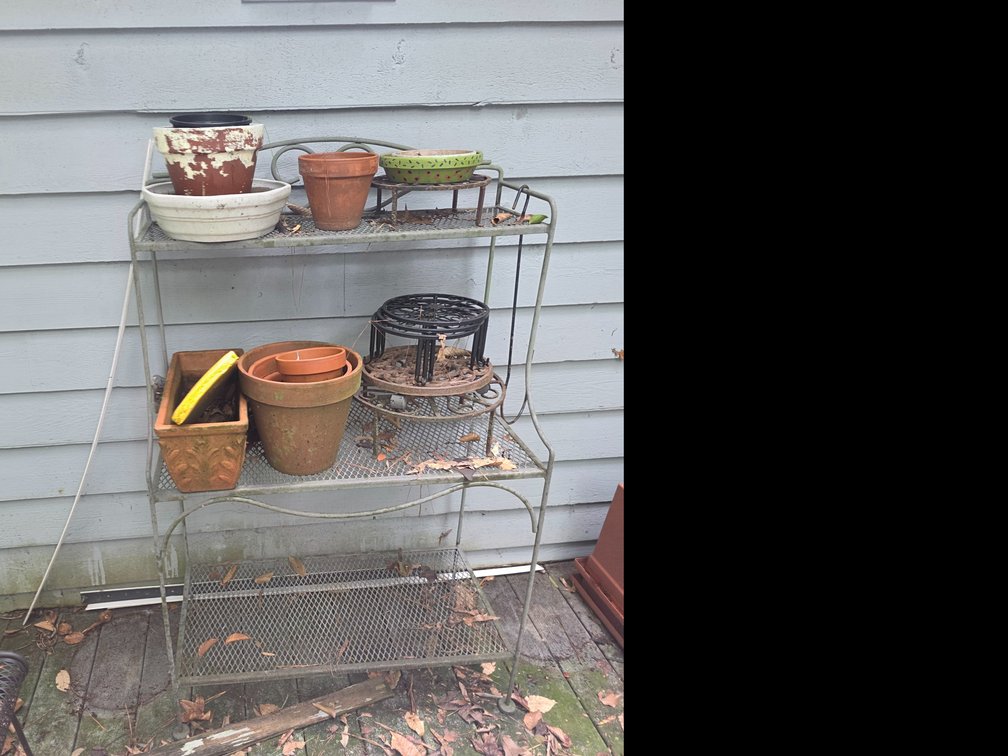 Metal Plant Stand with Contents