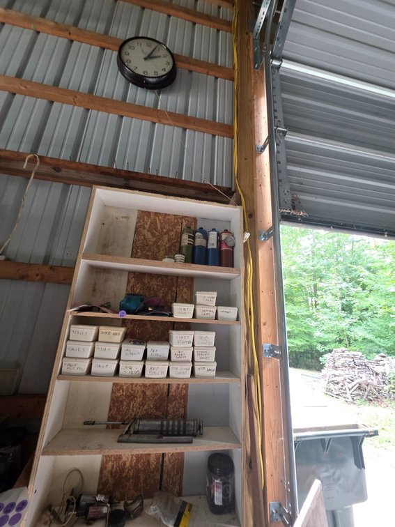 Shelf and Contents