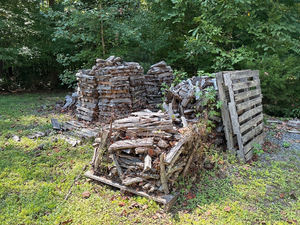 Wood Piles