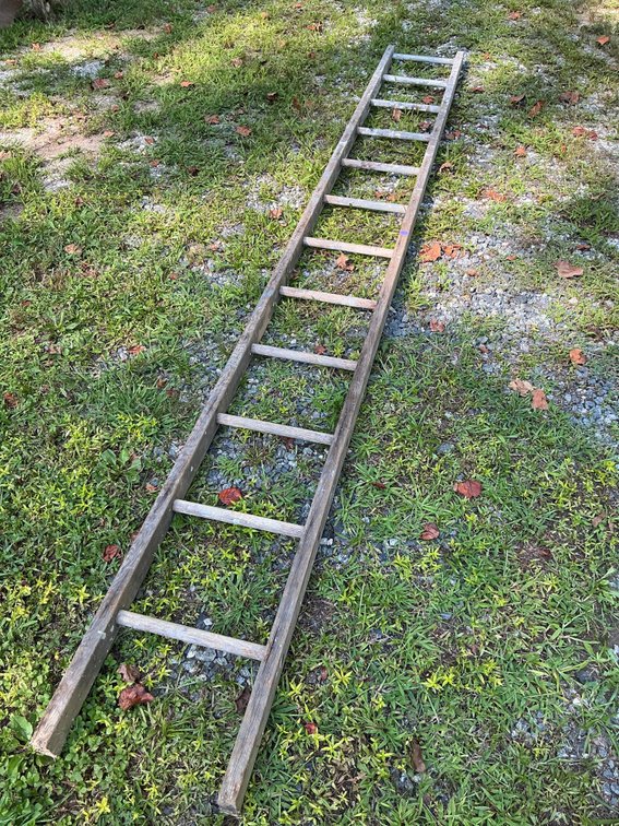 12 Foot Wood Ladder