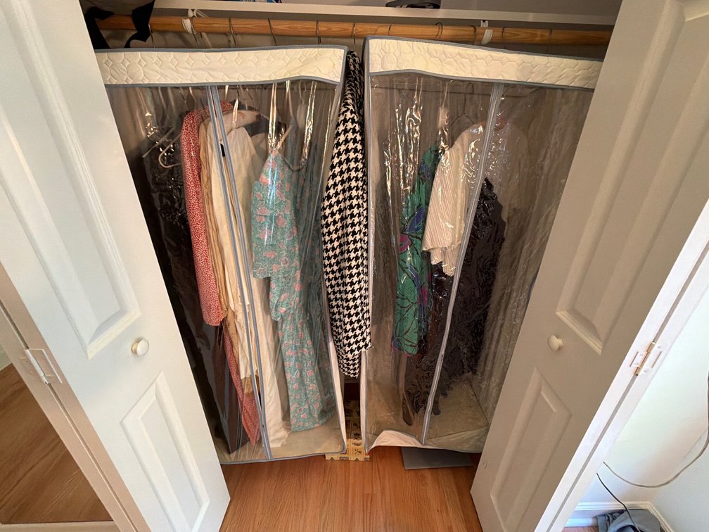 Women's Clothing & Closet Storage Lot