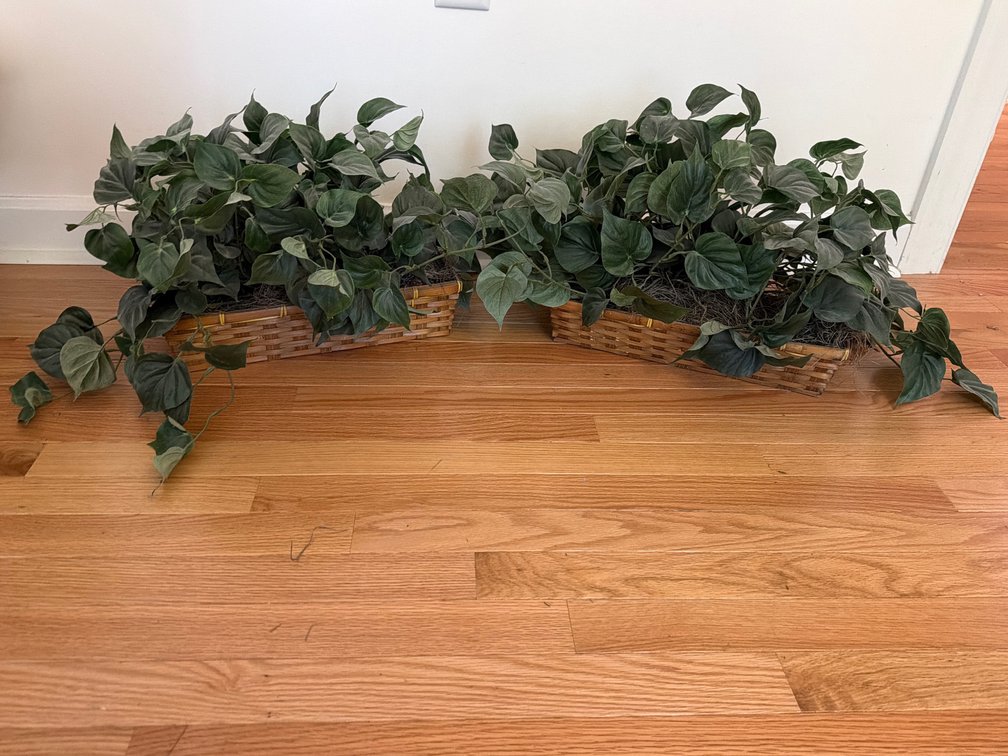 Pair of Artificial Trailing Green Plants in Wicker Baskets x2