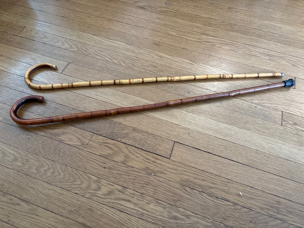 Bamboo / Whangee Walking Canes with Crook Handles
